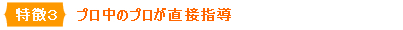 特徴3 プロ中のプロが直接指導